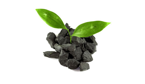 landscape materials education in Vancouver bc