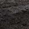 Rainforest Premium Garden Blend Soil